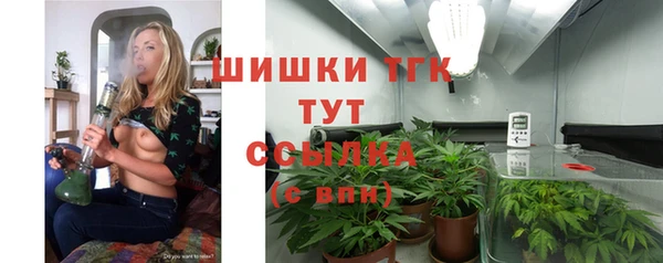 хмурый Мегион
