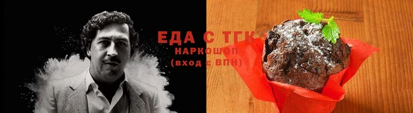 хмурый Мегион