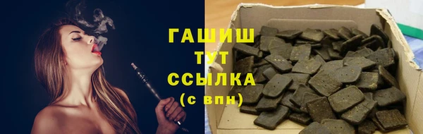 хмурый Мегион