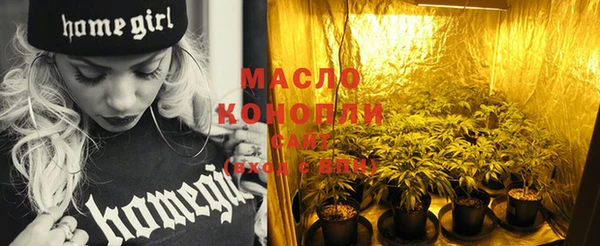 хмурый Мегион