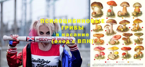 бошки Медвежьегорск
