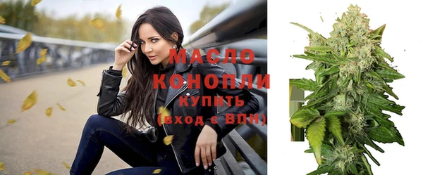 хмурый Мегион