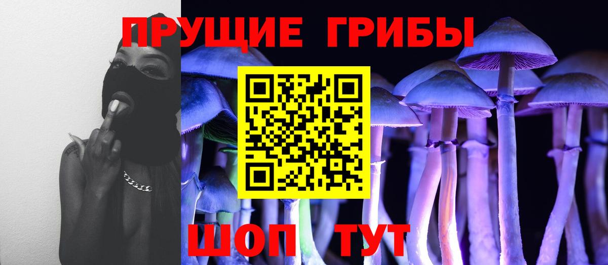 Псилоцибиновые грибы Psilocybe Фурманов