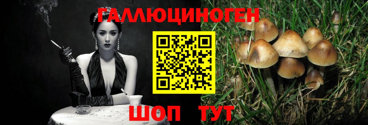 Псилоцибиновые грибы Psilocybine cubensis  Вход с VPN  Фурманов 